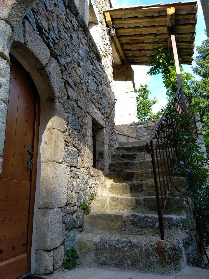 Les Chataigniers Gites Du Mas Haut Saint-Jean-du-Gard Exterior photo